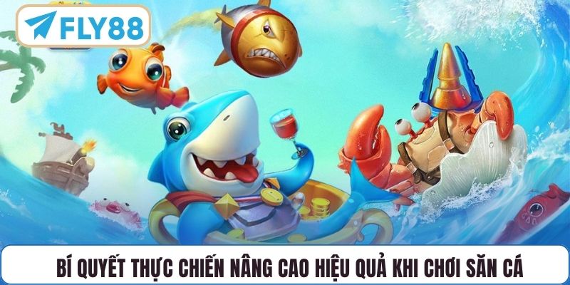 Bí quyết thực chiến nâng cao hiệu quả khi chơi săn cá