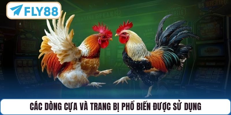Các dòng cựa và trang bị phổ biến được sử dụng