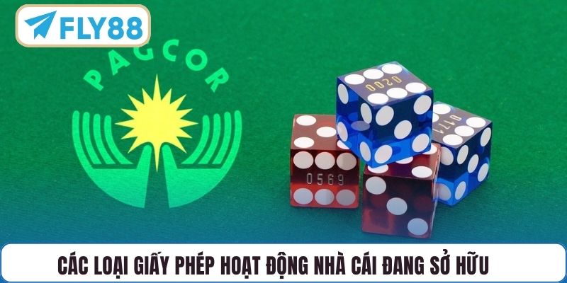 Các loại giấy phép hoạt động nhà cái đang sở hữu