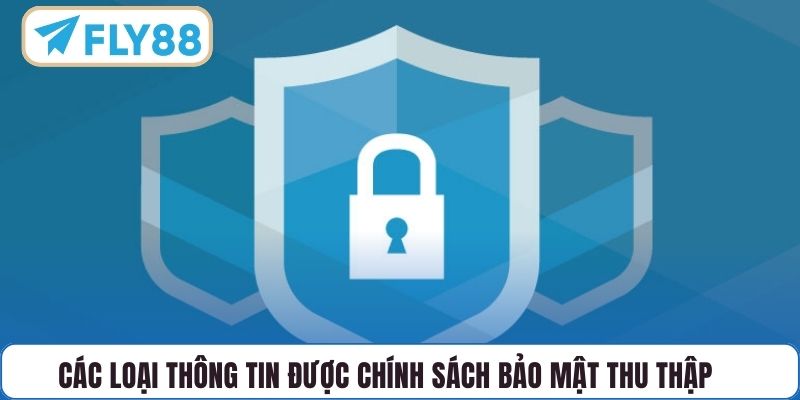 Các loại thông tin được chính sách bảo mật thu thập
