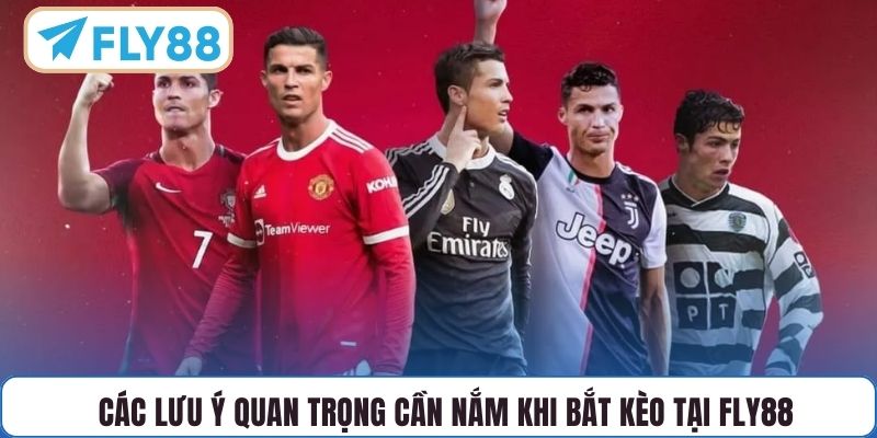 Các lưu ý quan trọng cần nắm khi bắt kèo tại FLY88