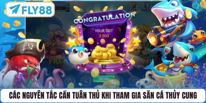 Các nguyên tắc cần tuân thủ khi tham gia săn cá thủy cung