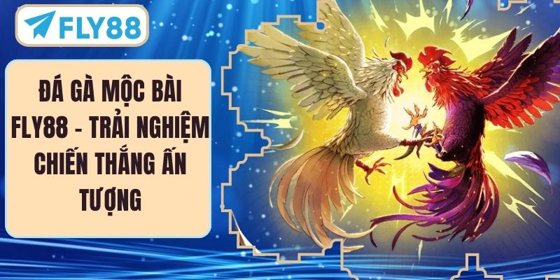 Đá Gà Mộc Bài FLY88 – Trải Nghiệm Chiến Thắng Ấn Tượng