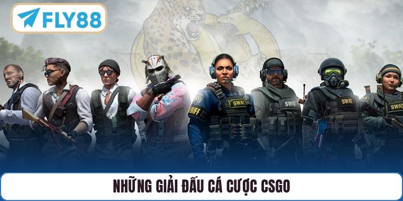 Những giải đấu cá cược CSGO