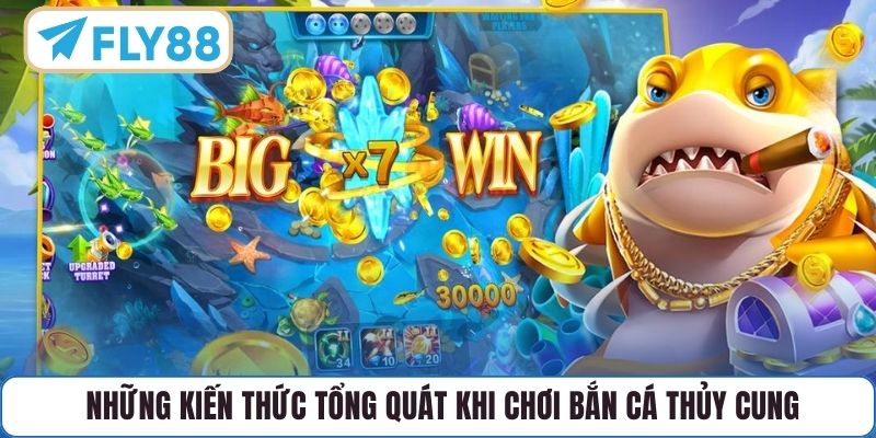 Những kiến thức tổng quát khi chơi Bắn Cá Thủy Cung 