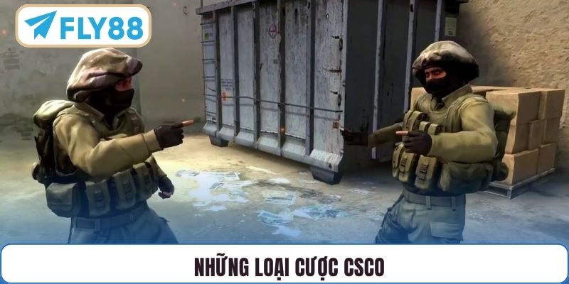 Những loại cược CSCO