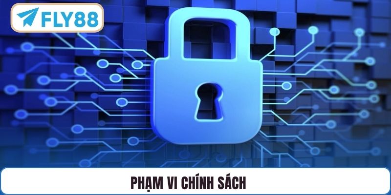 Phạm vi chính sách