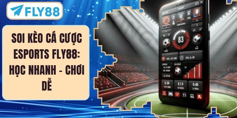 Soi Kèo Cá Cược Esports FLY88: Học Nhanh – Chơi Dễ